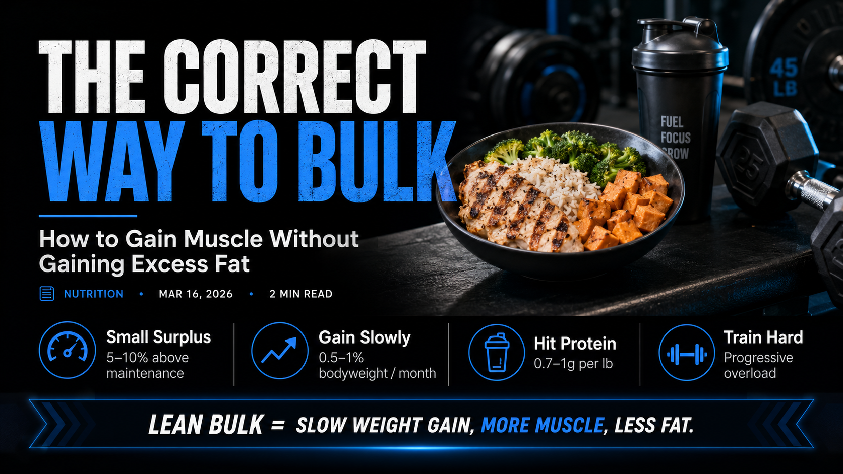 The Correct Way to Bulk article image