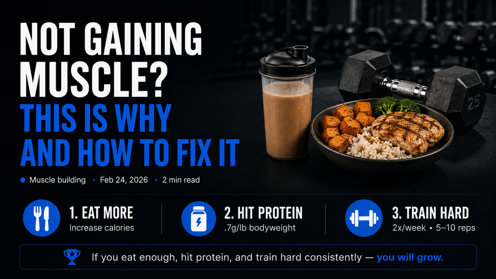 Not Gaining Muscle article image
